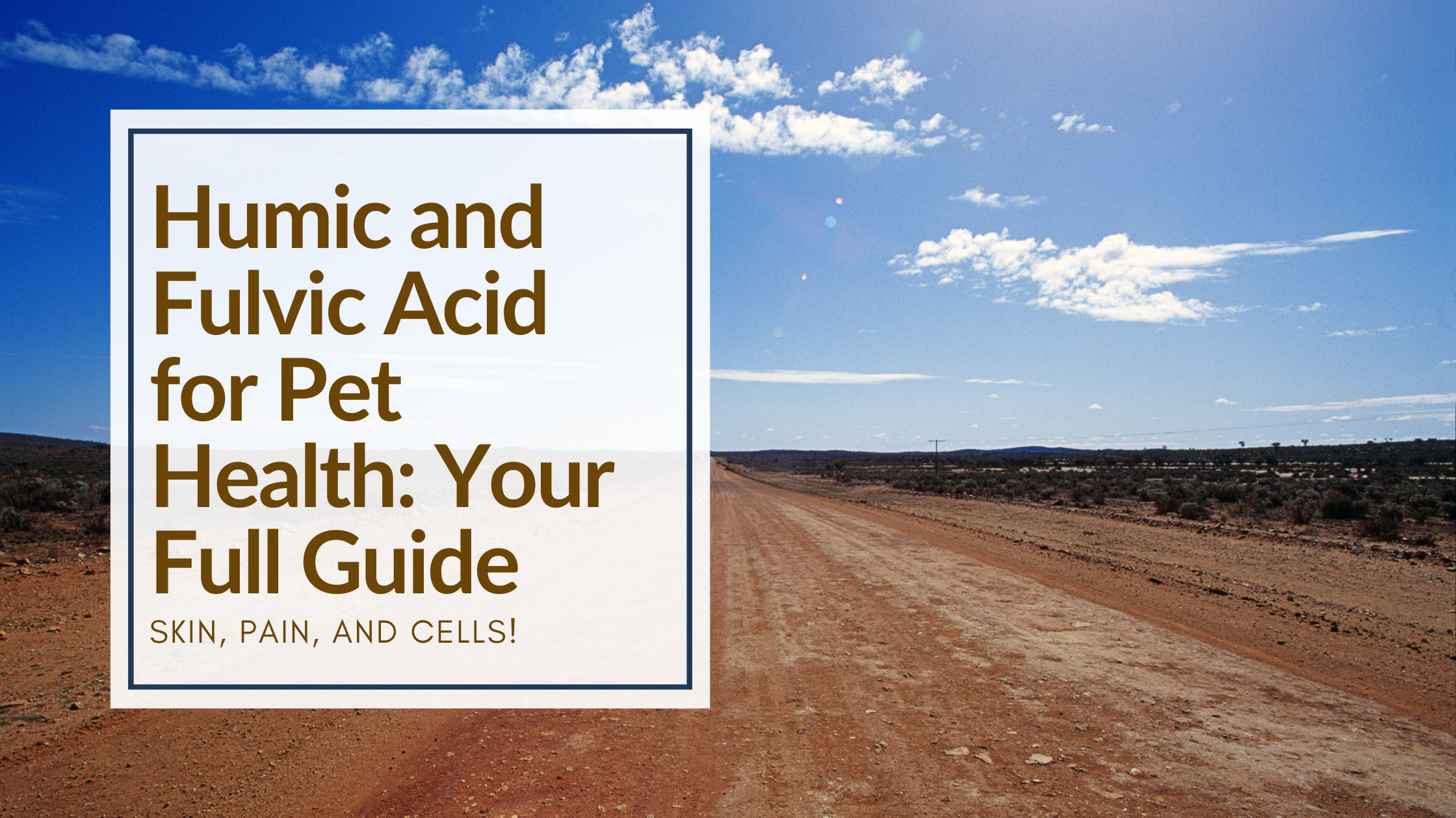 Humic and Fulvic Acid for Pet Health: Your Full Guide