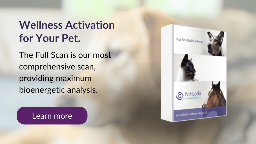 bioenergetic test kit overlaid on picture of a labrador retriever