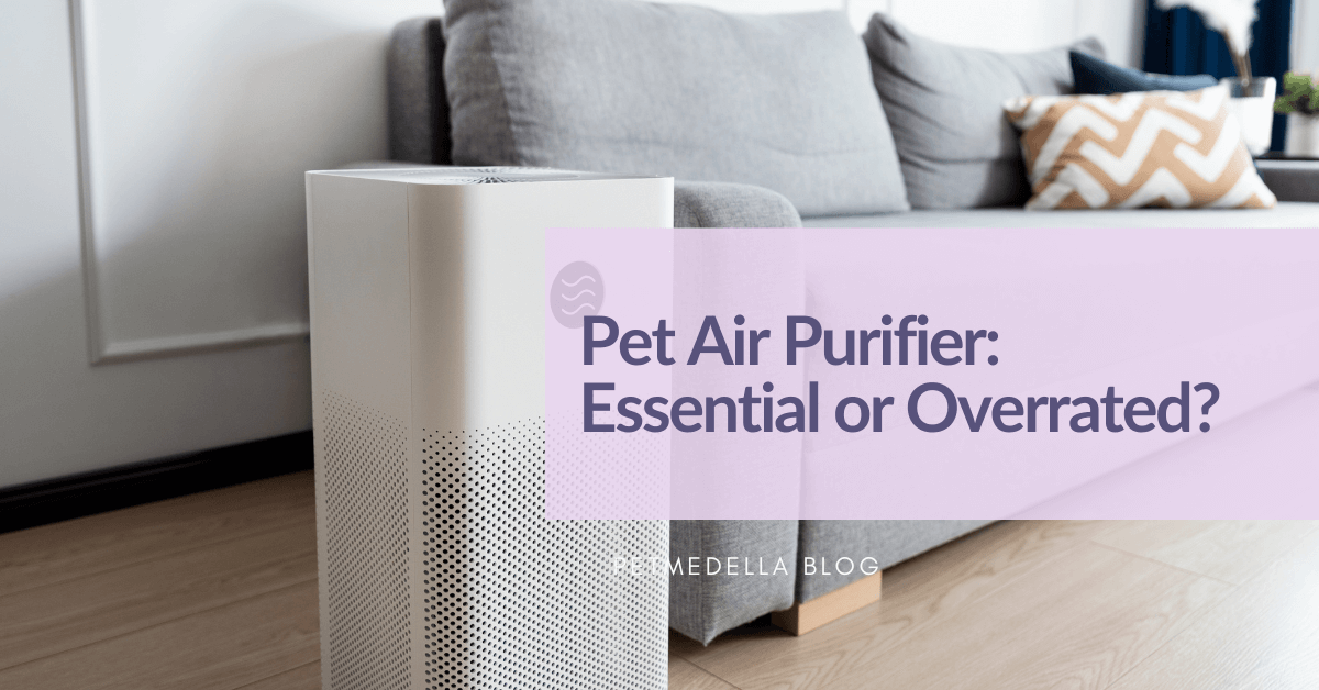gray couch in living room with an air purifier