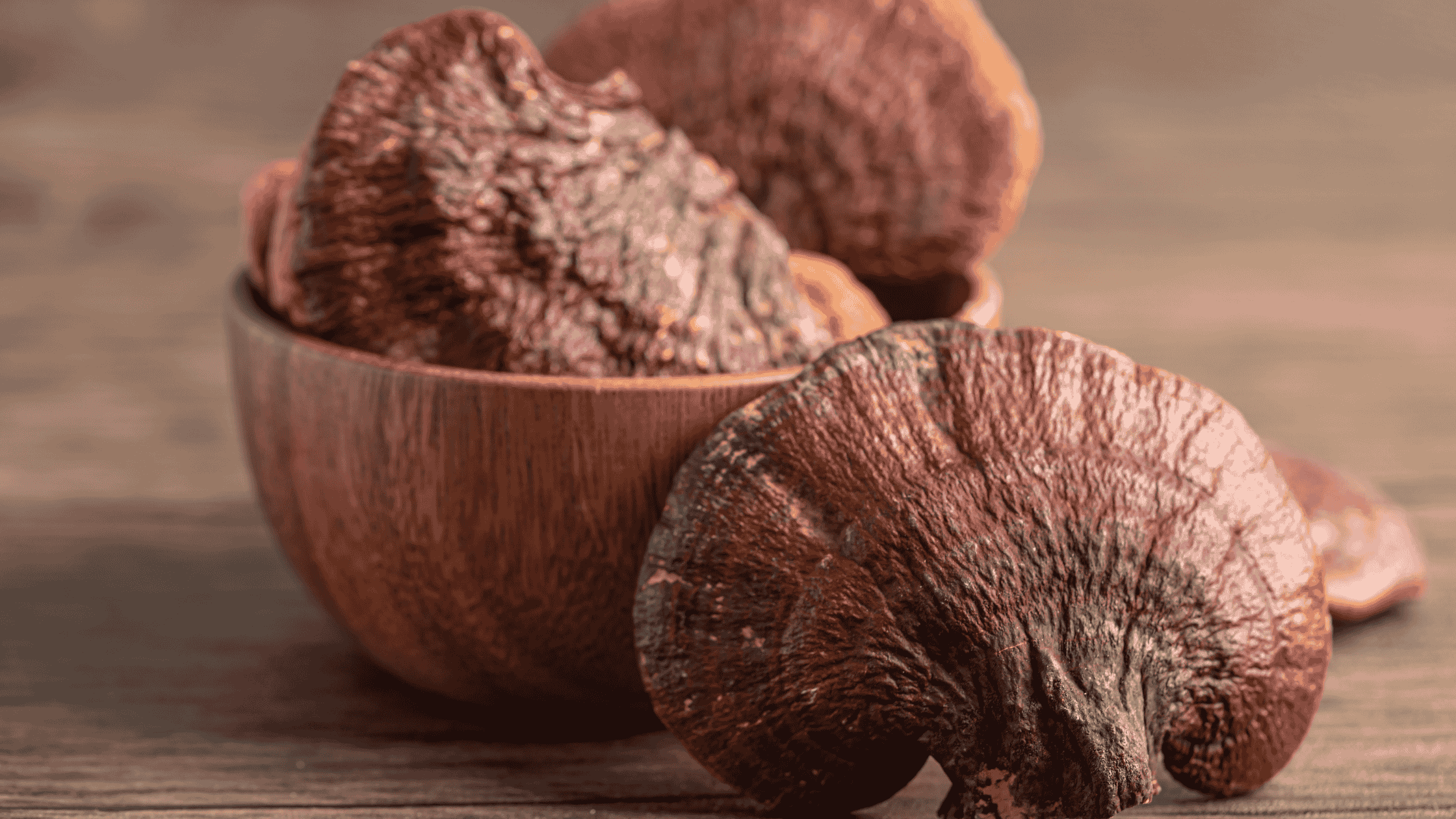 close up of reishi mushrooms - one of the best senior dog vitamins. 
