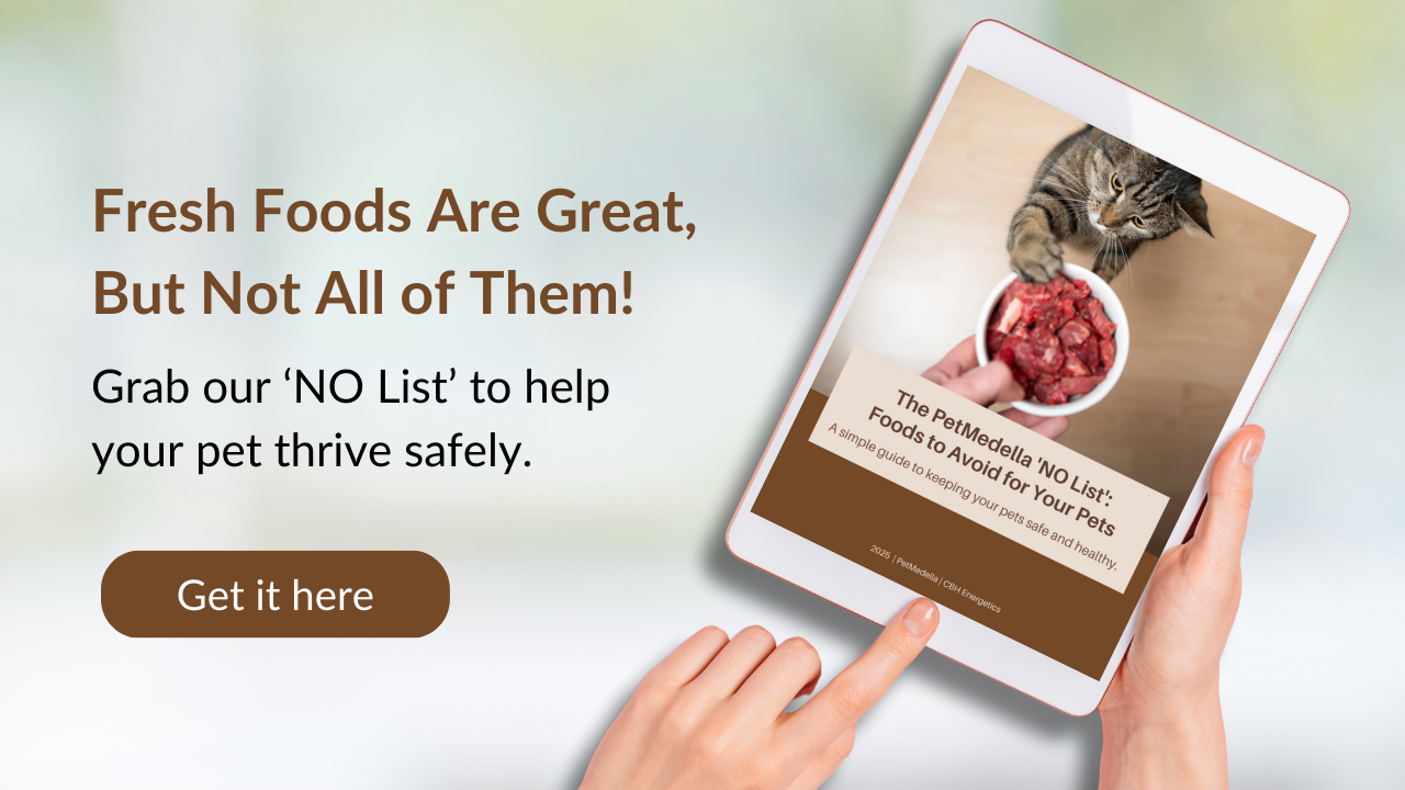 Two hands holding iPad reading an ebook from PetMedella about foods your pet should not eat