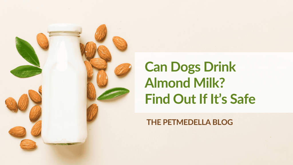 Can Dogs Drink Almond Milk Find Out If It S Photo Inspiration