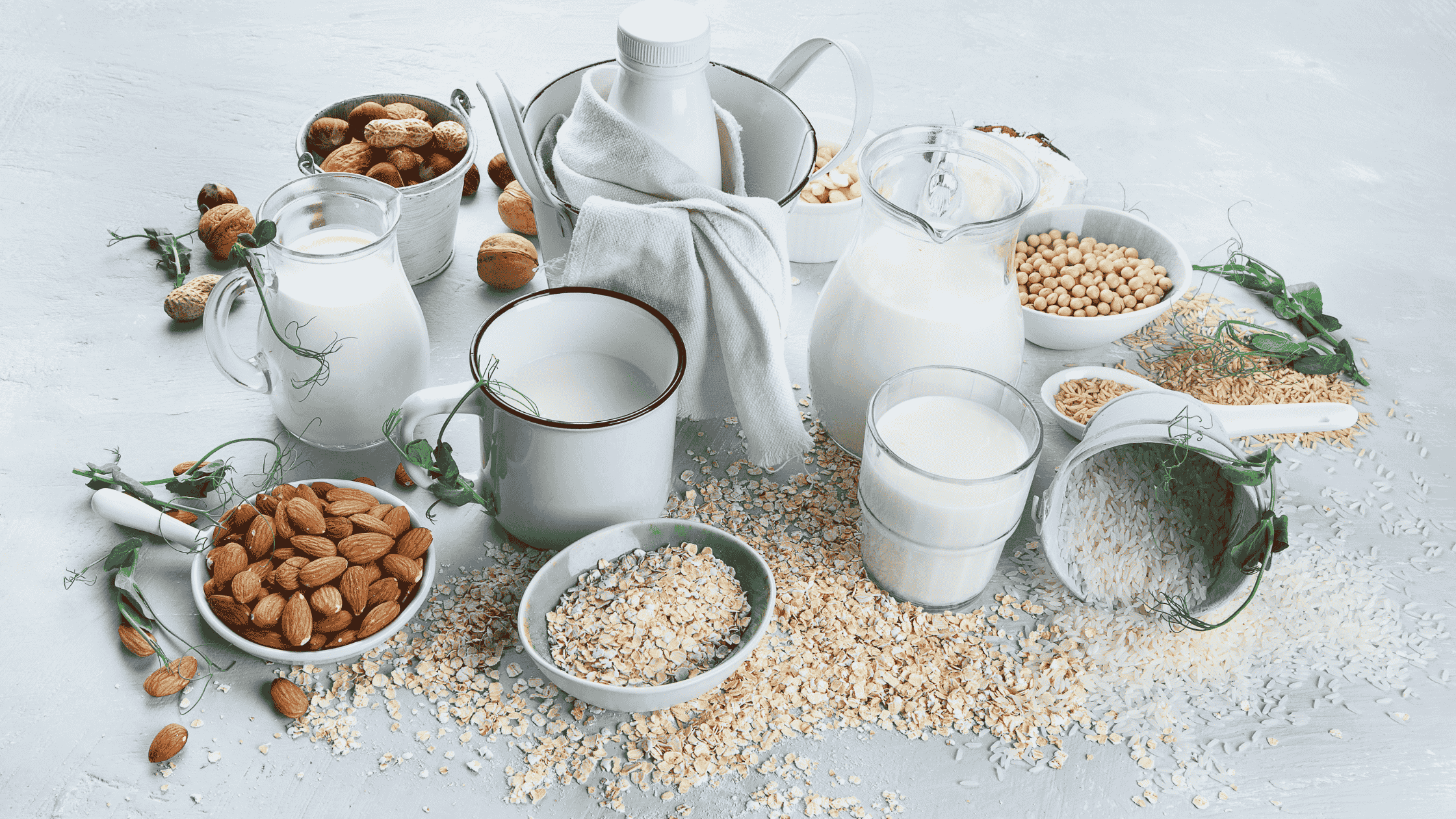 A variety of different plant milks like almond milk and dogs.