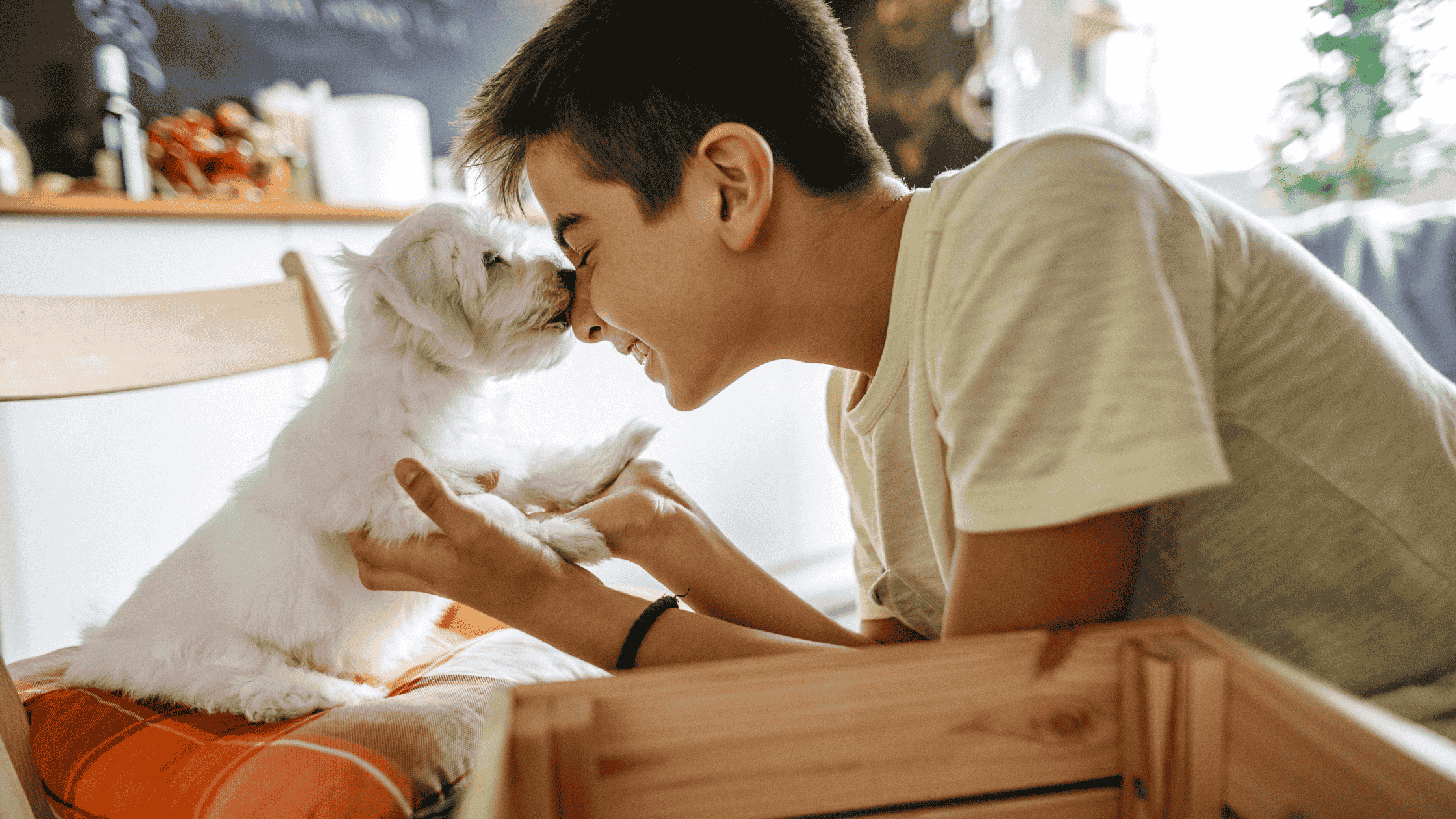 a small white dog is licking the nose of a young pre teen.