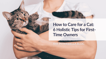 Woman wearing a white t-shirt, holding a tabby cat. Overlay text: How to Care for a Cat: 6 Holistic Tips for First-Time Owners