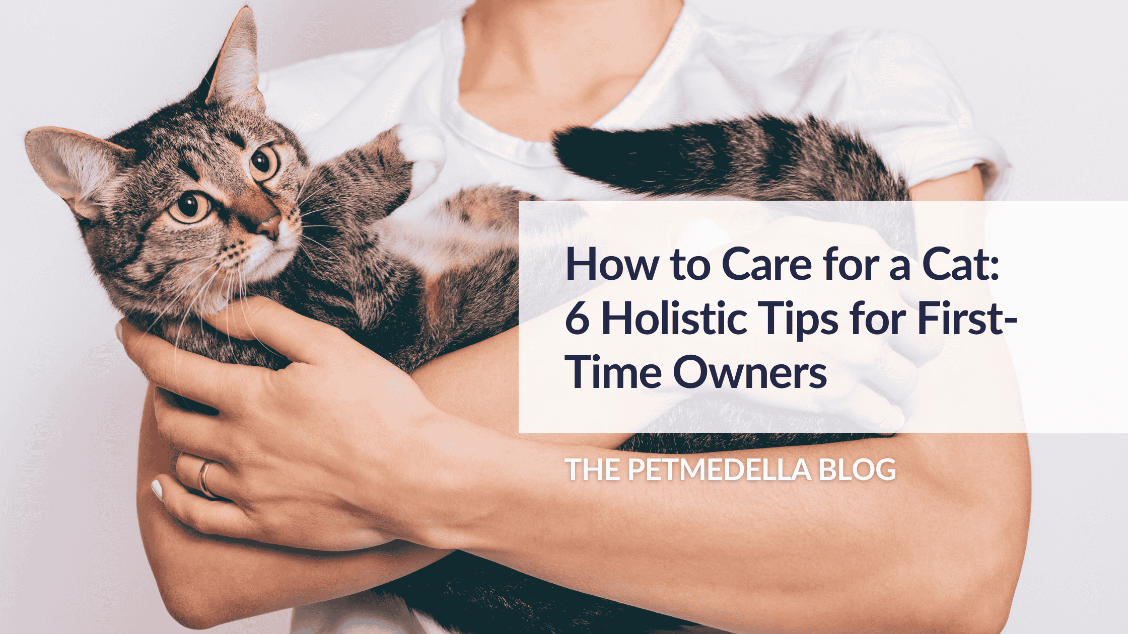 Woman wearing a white t-shirt, holding a tabby cat. Overlay text: How to Care for a Cat: 6 Holistic Tips for First-Time Owners