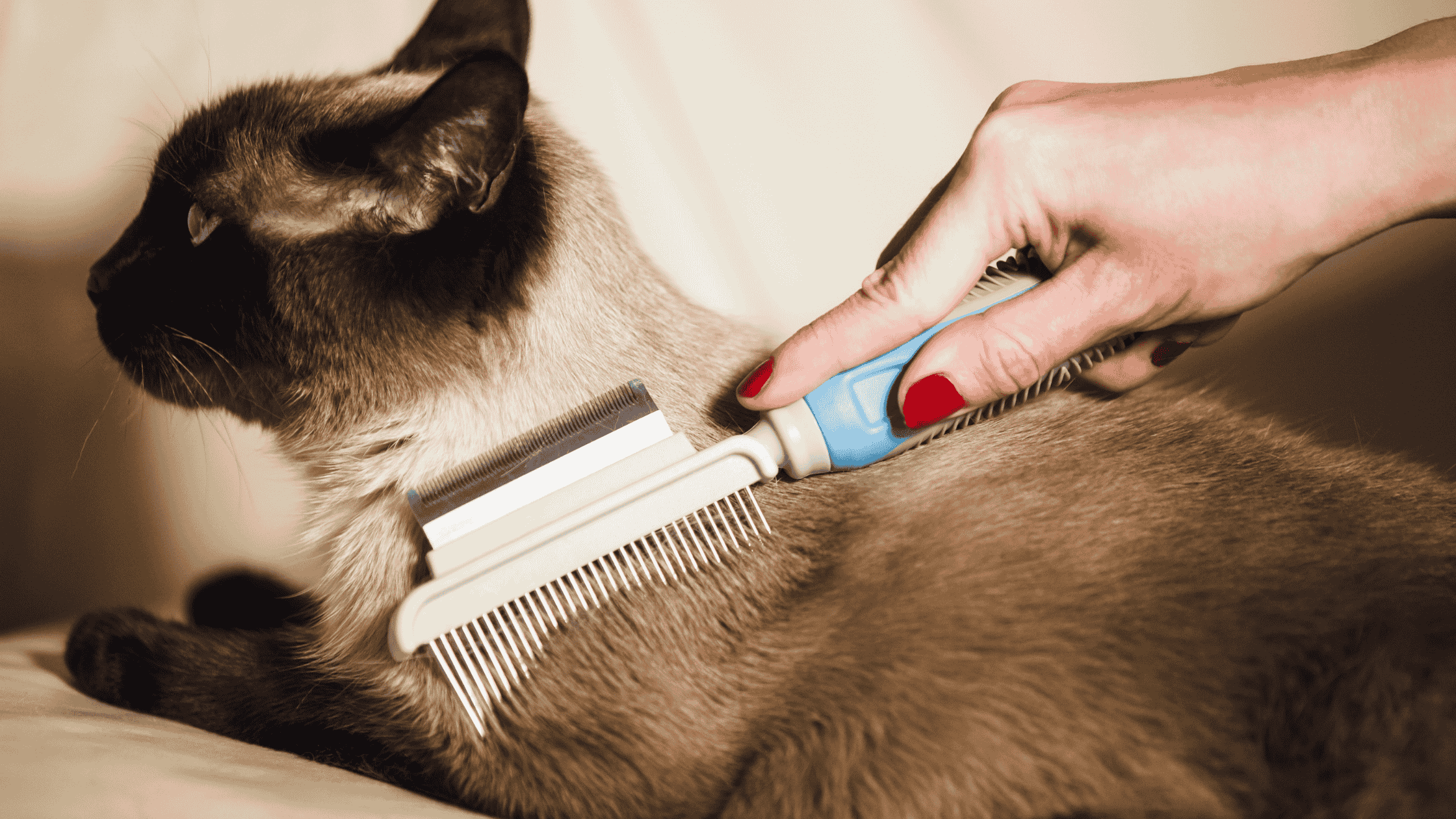 For hairball prevention, brushing is important!