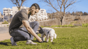 A man and his dog, he is bending down to pick up smelly dog poop.