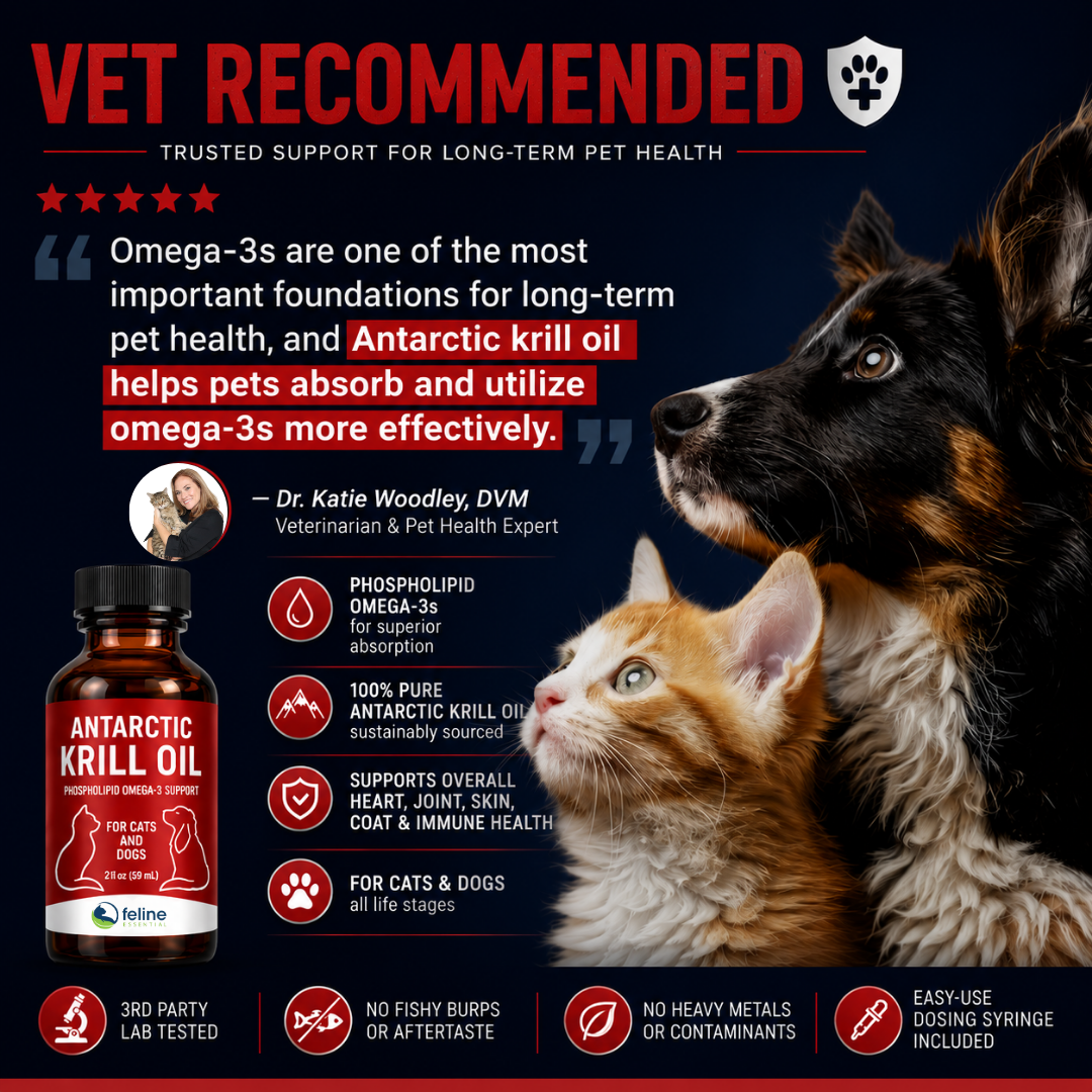 Antarctic Krill Oil for Cats and Dogs - Image 5