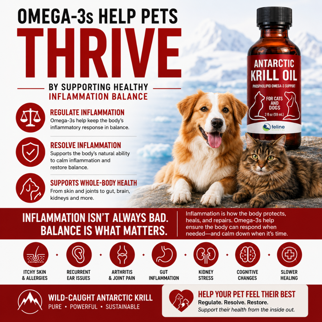 Antarctic Krill Oil for Cats and Dogs - Image 4