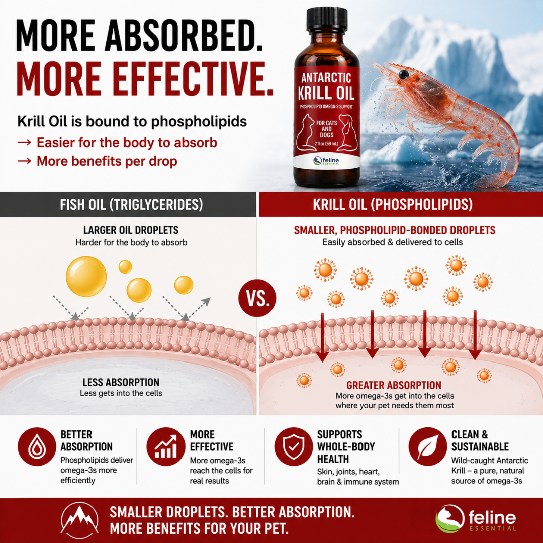 Antarctic Krill Oil for Cats and Dogs - Image 2