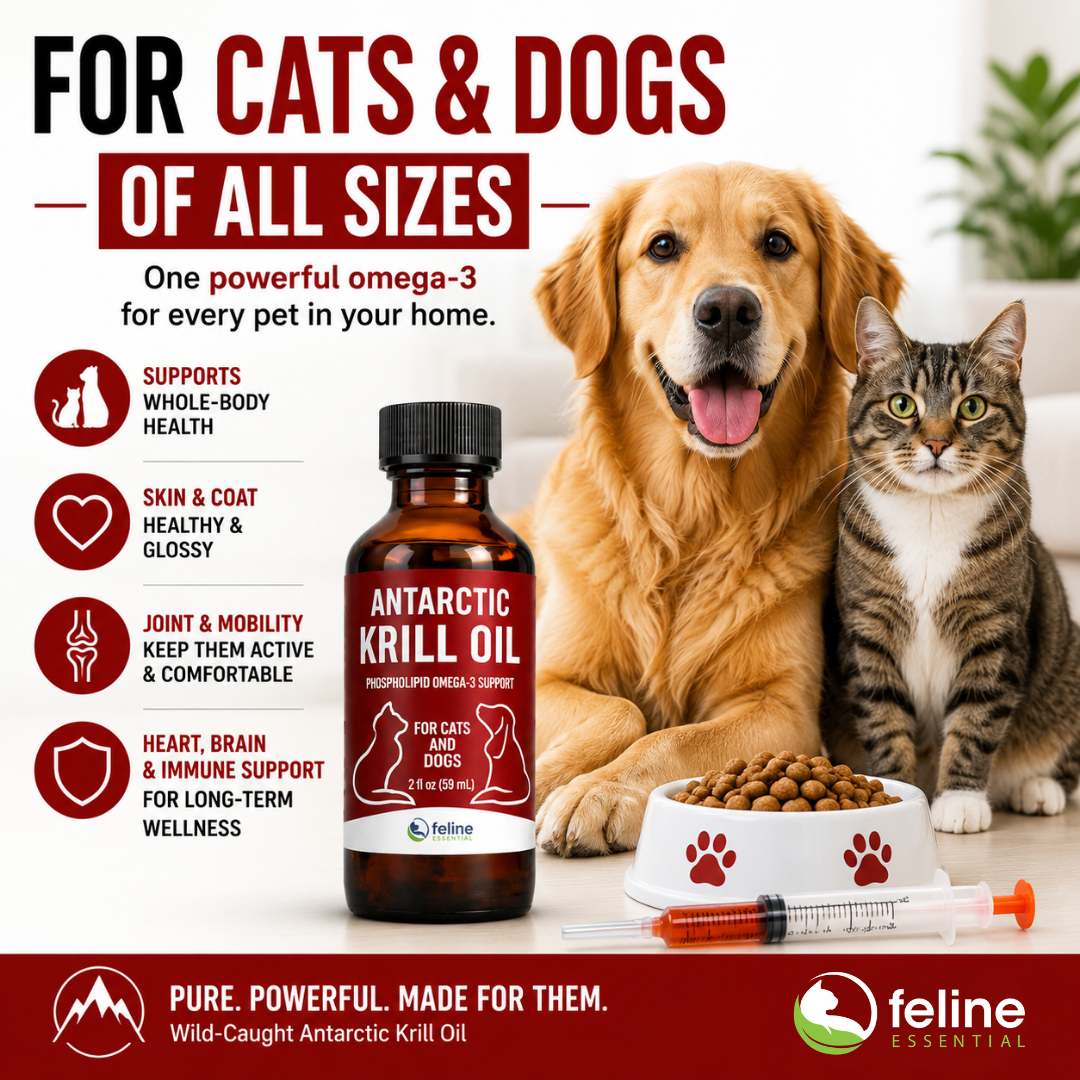 Antarctic Krill Oil for Cats and Dogs - Image 3